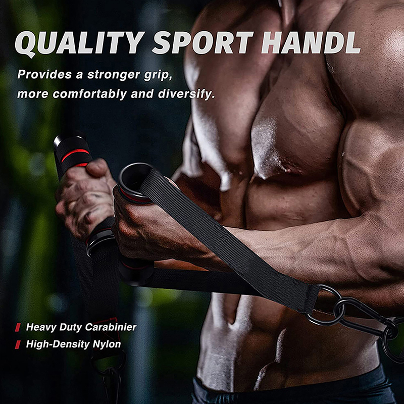 1Set Pegangan Gym Logam D-Ring - D Ring Strap ulasan dan harga